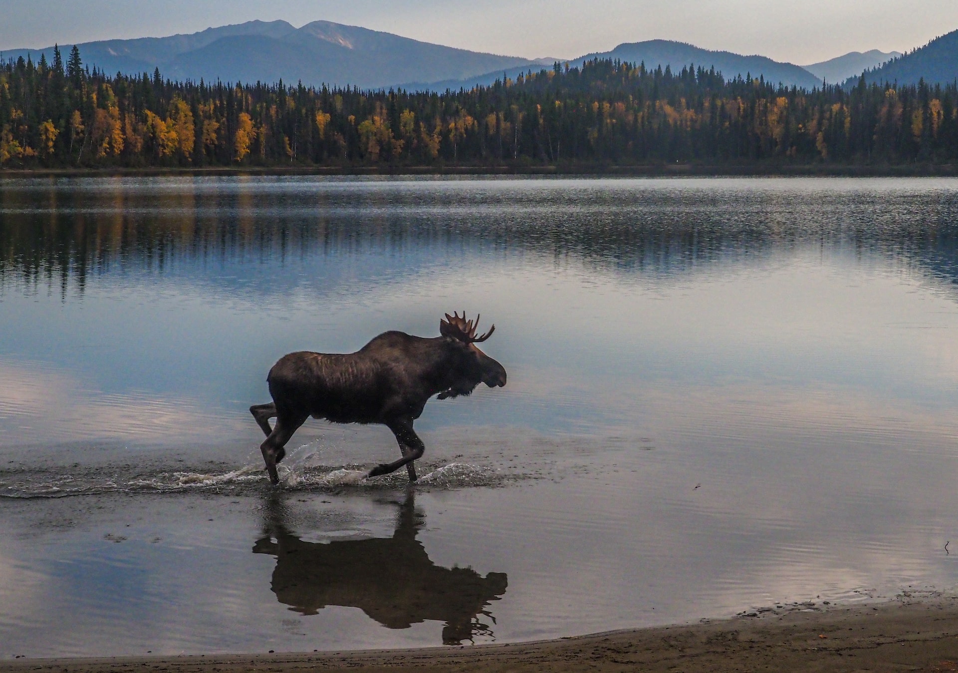 demo-moose-lake-unsplash