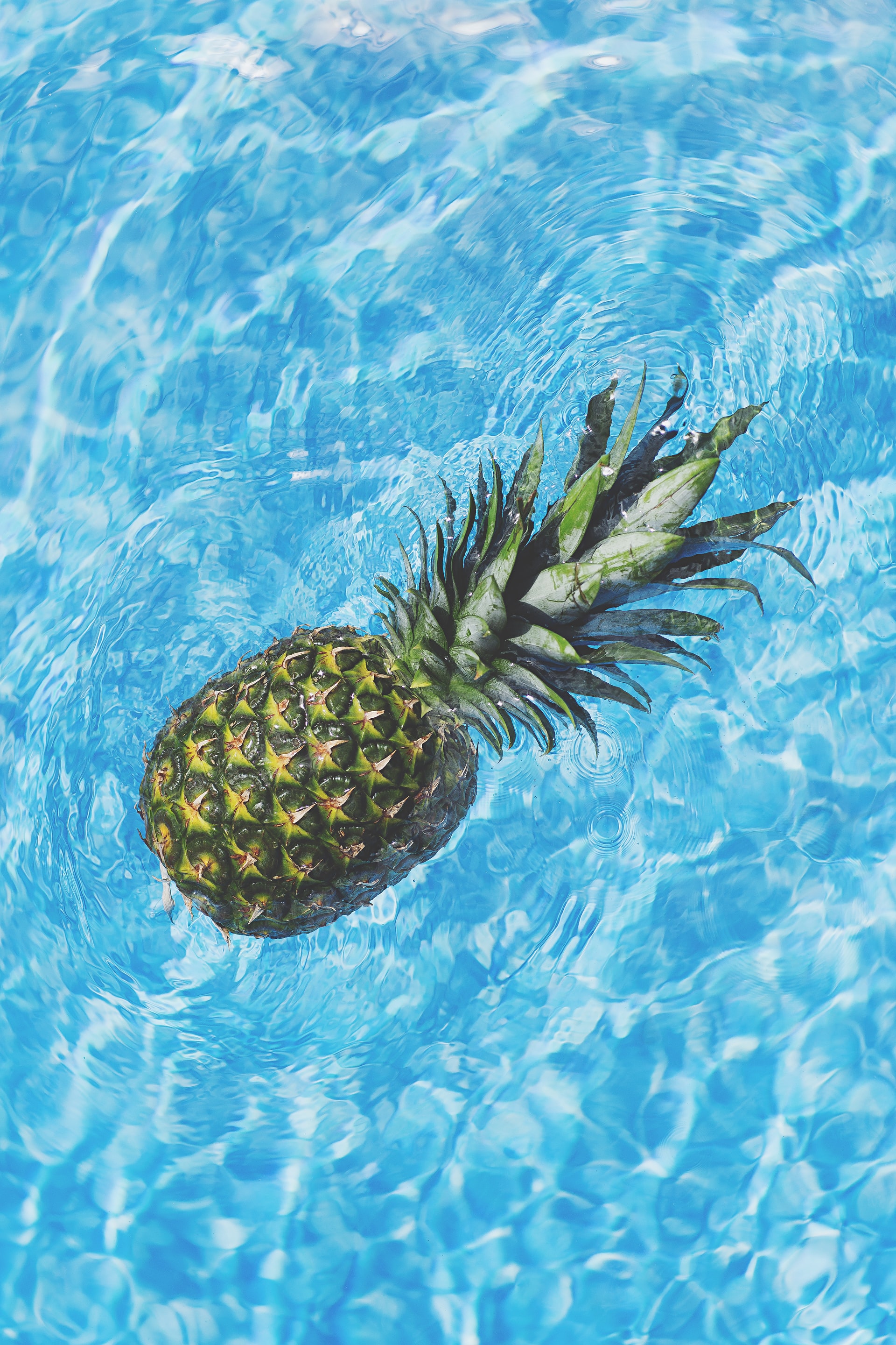 Floaty Pineapple