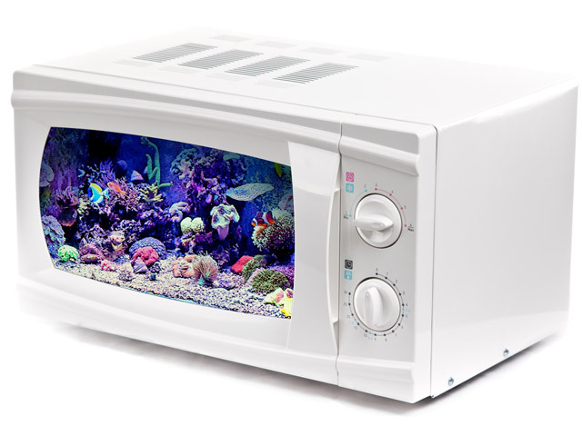 demo-microwave-fish.jpg